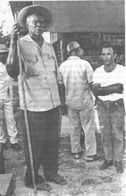 Foto histórica 6